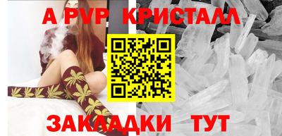 стаф Дмитров